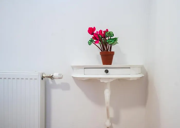 Spacious And Bright 2bdr In The Old Town Apartment Sarajevo